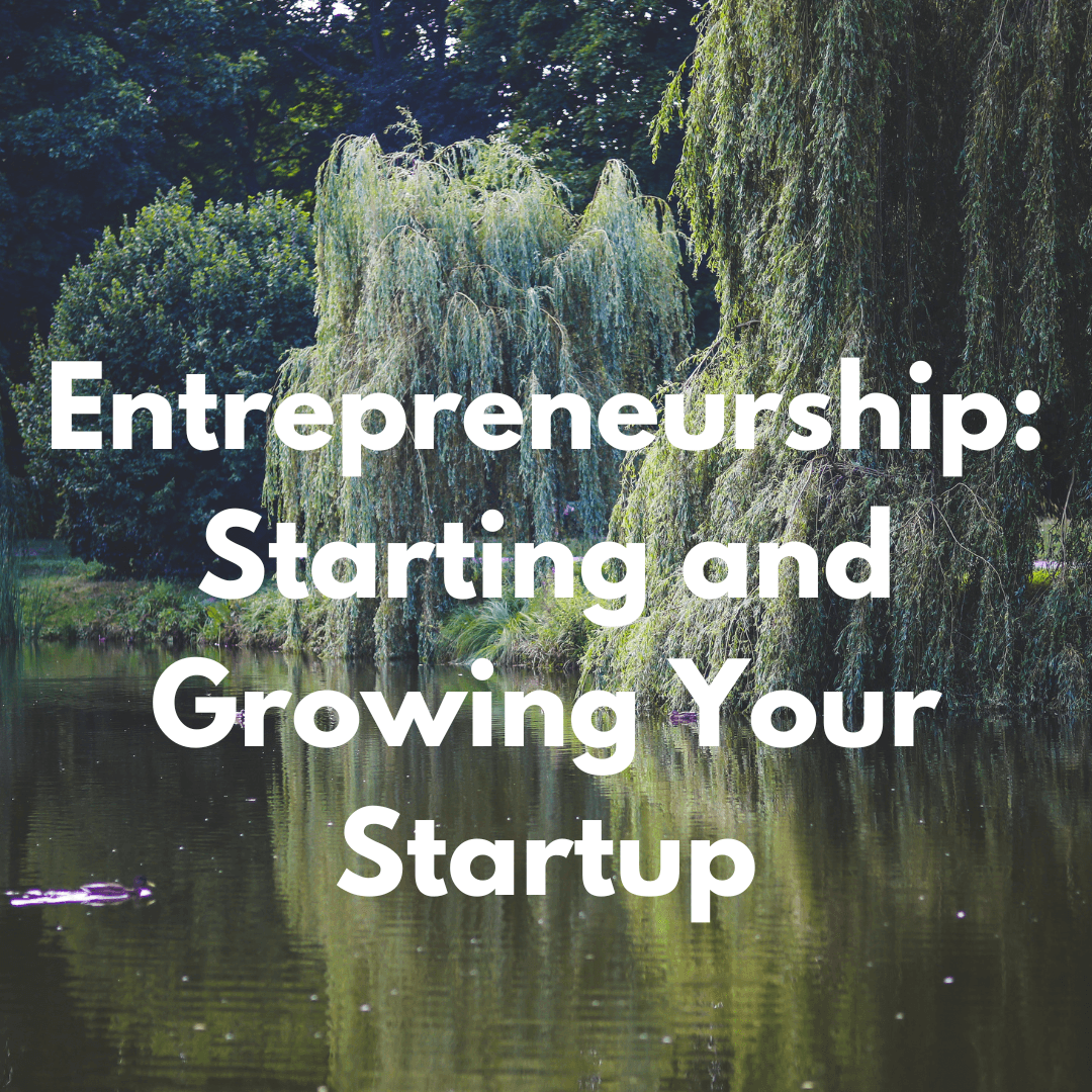 Entrepreneurship: Starting and Growing Your Startup